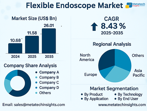 Global Flexible Endoscope Market to Hit USD 26.01 Bn by 2035 | CAGR 8.43%