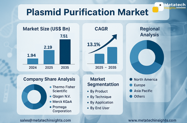 Global Plasmid Purification Market to Hit USD 7.51 Bn by 2035 | CAGR 13.1%